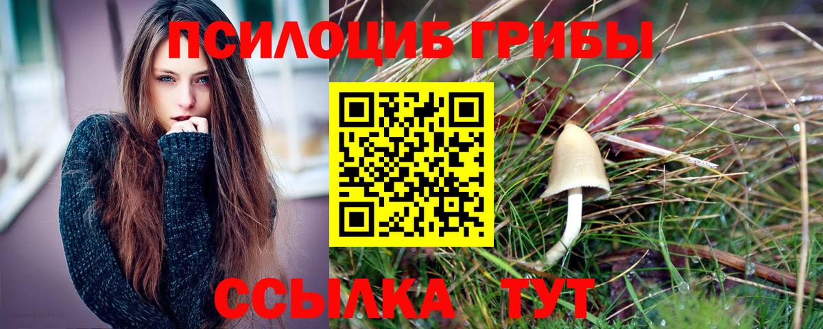 Галлюциногенные грибы GOLDEN TEACHER  Галлюциногенные грибы GOLDEN TEACHER  Вход с VPN  Ржев 